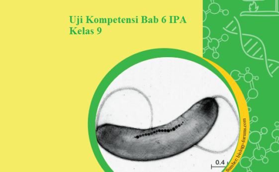 Jawaban Buku IPA Kelas 9 Uji Kompetensi Bab 6 Hal 46 50