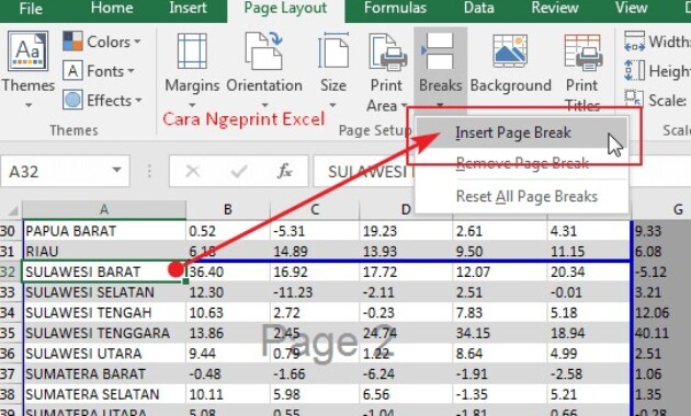 Cara Ngeprint Excel