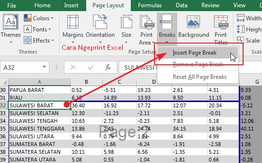 Cara Ngeprint Excel