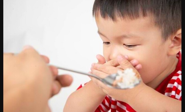 Tips Mengatasi Anak Susah Makan