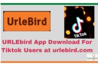 URLEbird App Download For Tiktok Users