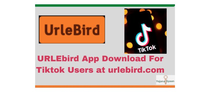 URLEbird App Download For Tiktok Users