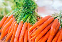 manfaat makan wortel