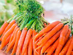 manfaat makan wortel